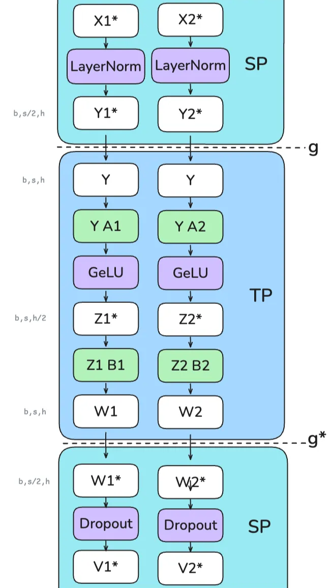 Figure 19: Tensor Sharding and Communication in TP+SP
